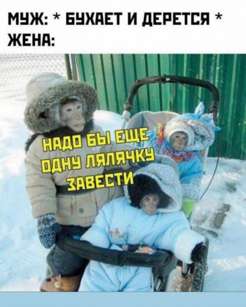 Мем, Кто здесь