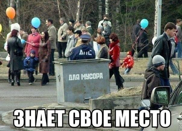 Мем, Рысь