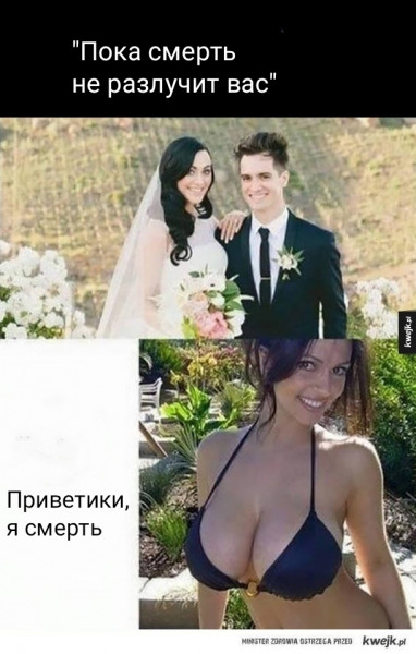 Мем, Рысь