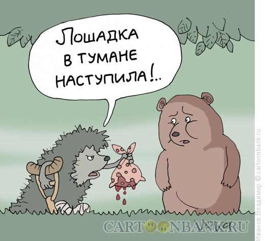Карикатура: Лошадка наступила, Иванов Владимир