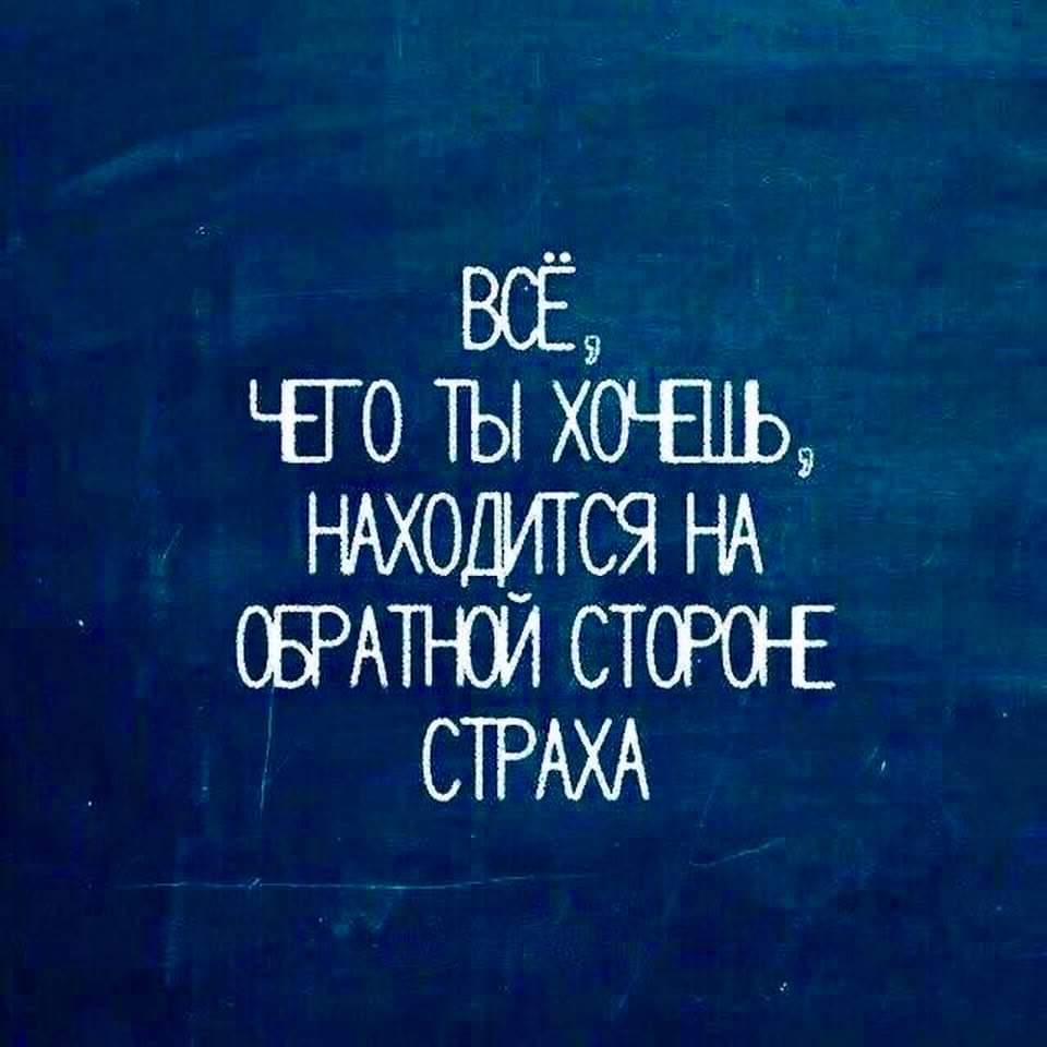 Забудь про страх. Мотивационные высказывания. Вдохновляющие цитаты. Цитаты про страх. Фразы про страх.