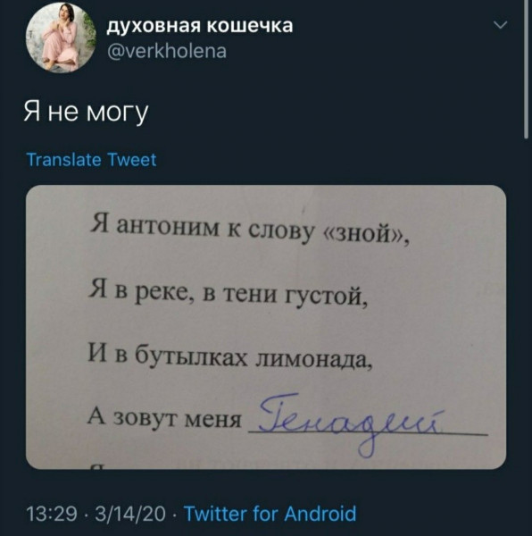 Мем, Рысь