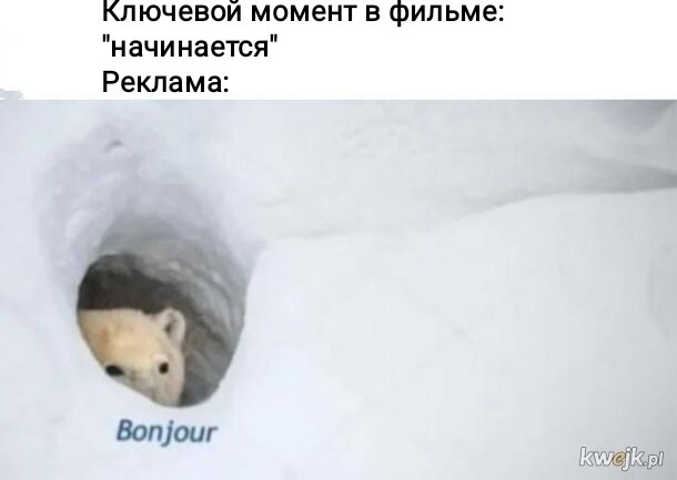 Мем, Рысь