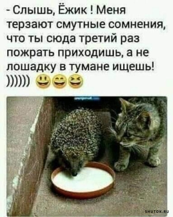 Мем, Джокер