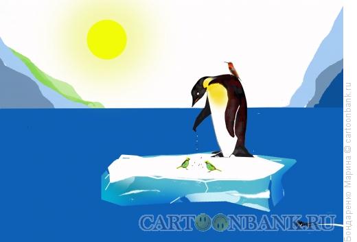 Карикатура: Пингвин, Лето  и Море, Бондаренко Марина