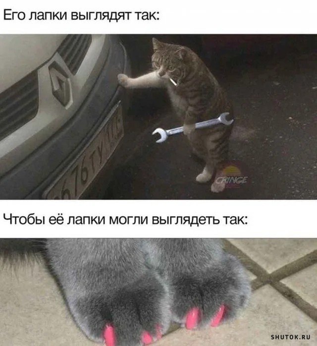 Мем, Джокер