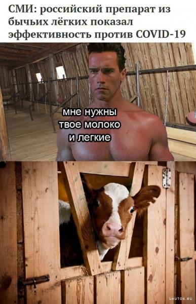 Мем, Джокер