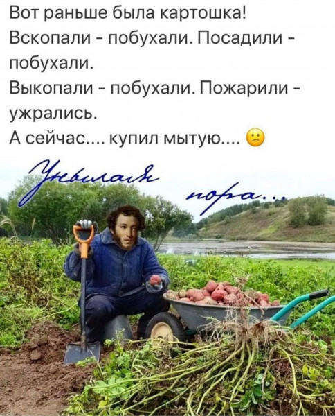 Мем, fghjkl