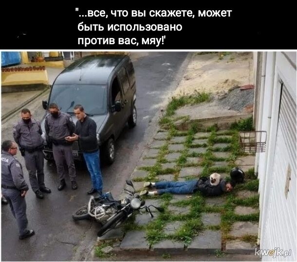 Мем, Рысь