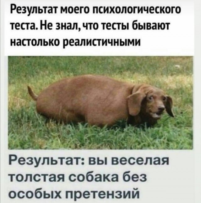 Мем, Mghost