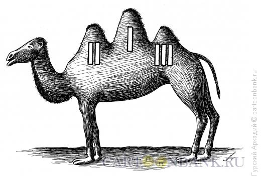 Карикатура: верблюд-три горба, Гурский Аркадий