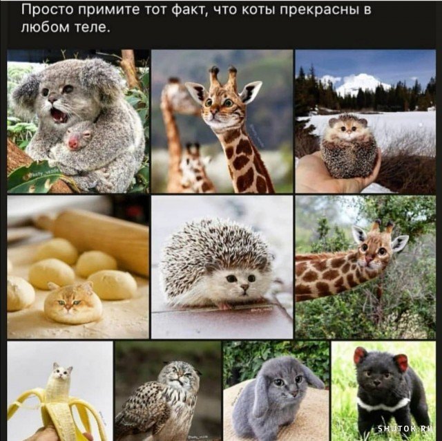 Мем, Джокер