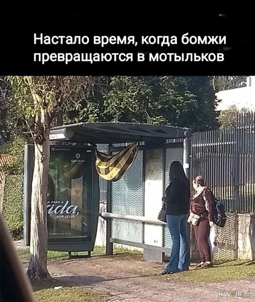 Мем, Рысь