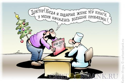 Карикатура: Фэн шуй, Кийко Игорь