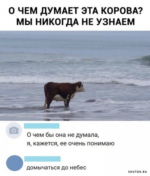 Мем, Джокер