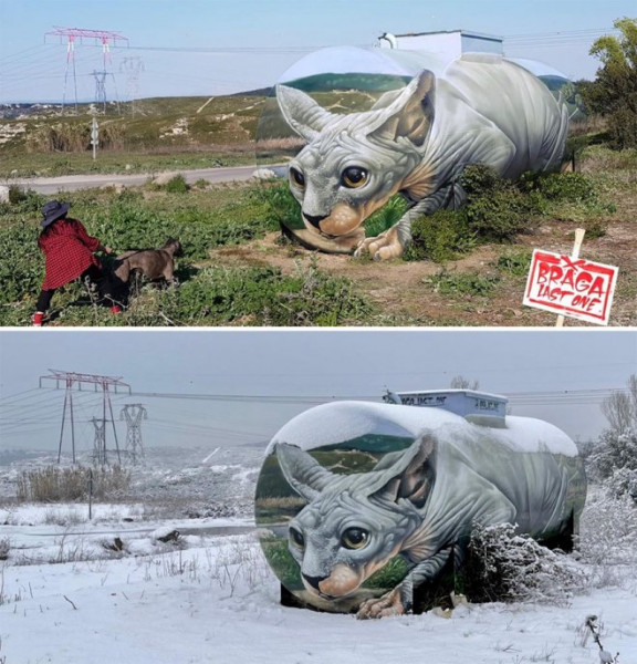 Мем: 3D-граффити французского художника Брагадо Бланко даже собака приняла за настоящее, Брюттон
