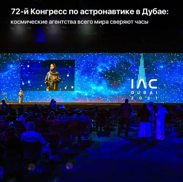 Мем, птица