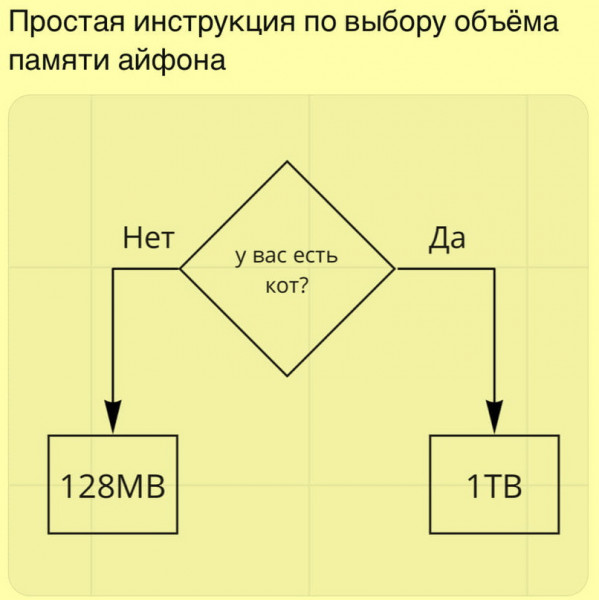 Мем, Sebastian Perejra