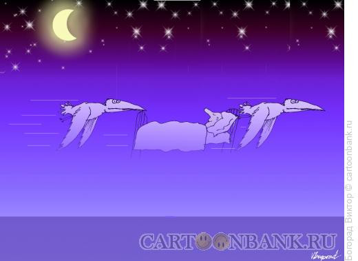 Карикатура: Ночные странствия, Богорад Виктор