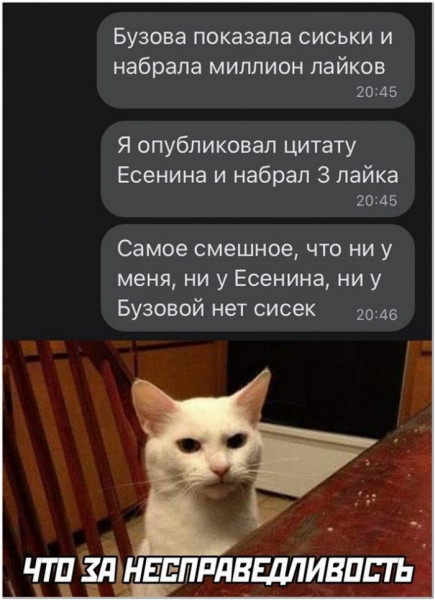 Мем, Брюттон