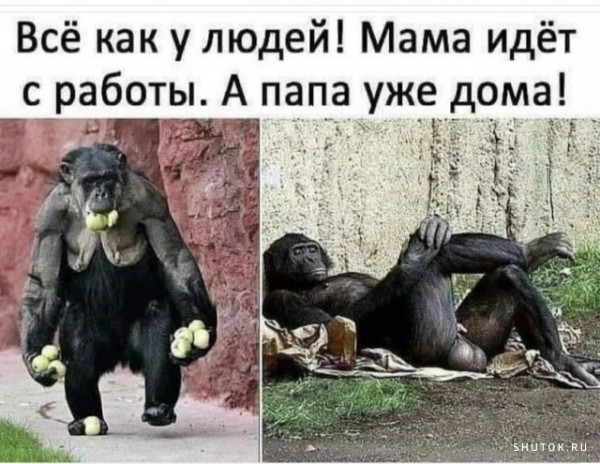 Мем, Джокер