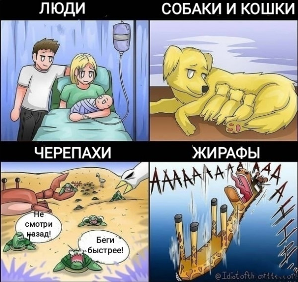 Мем, Рысь