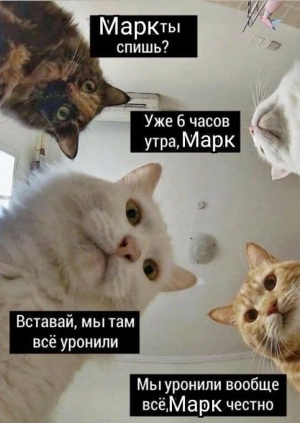 Мем, Брюттон