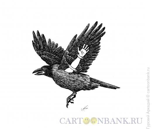 Карикатура: птица, Гурский Аркадий