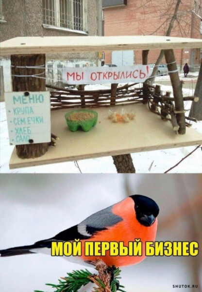 Мем, Джокер