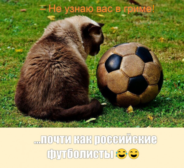 Мем