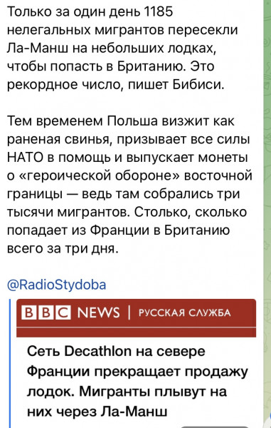 Мем, Максим Камерер