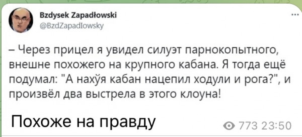 Мем, Максим Камерер
