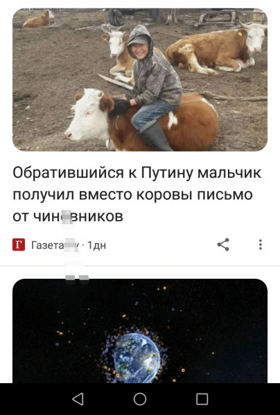 Мем, птица