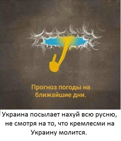 Мем: МаксимКамерер в потугах обосрать Украину обсирается сам. как и все путинососы, Русский Витязь
