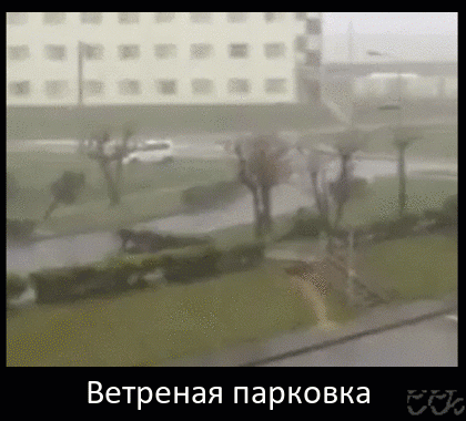 Мем: Ветреная парковка, Серж Скоров