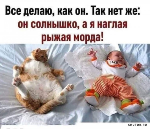 Мем, Джокер