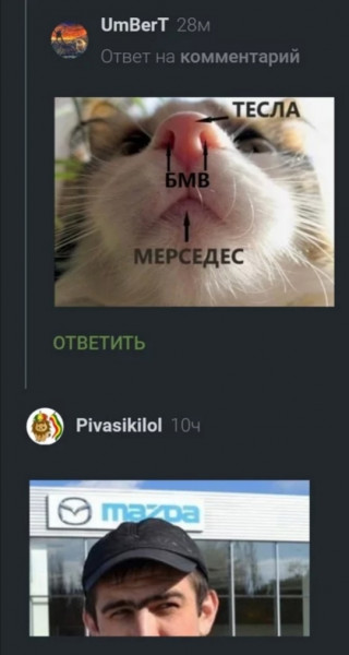 Мем, птица