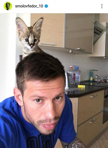 Мем: Футболист Фёдор Смолов: "Выйду я на кухню с котом"