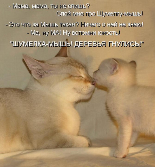 Мем