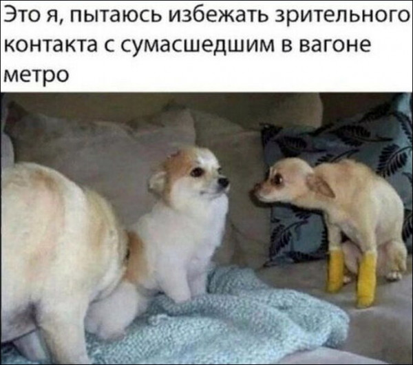 Мем, Брюттон