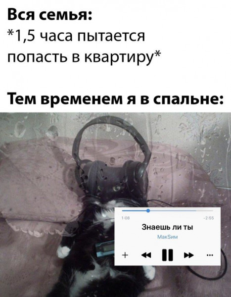 Мем, Брюттон