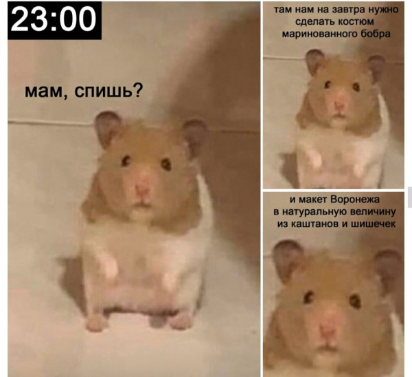 Мем, Молодой гранит