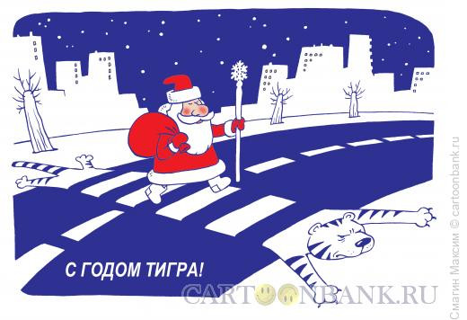 Карикатура: Зебра - тигра, Смагин Максим