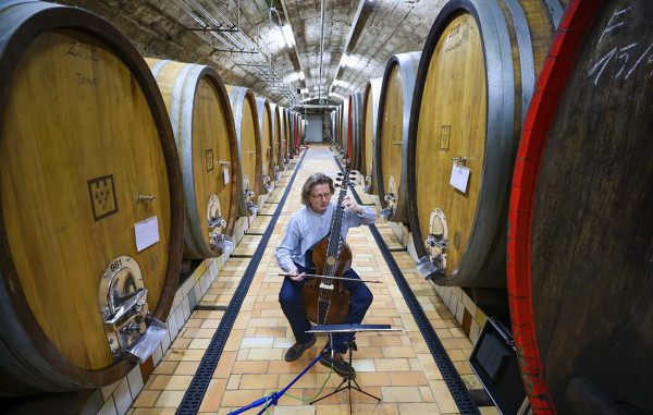 Мем: Для лучшего созревания вина музыкант Томас Фрицш играет на виоле в винном погребе немецкого Фрайбурга, lugy