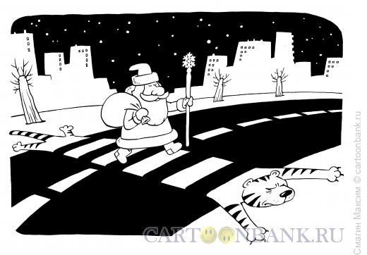 Карикатура: Зебра - тигра, Смагин Максим