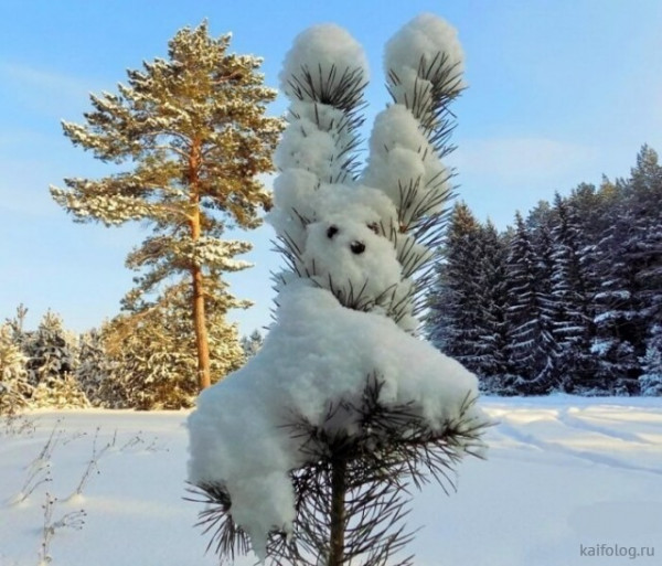 Мем, Брюттон