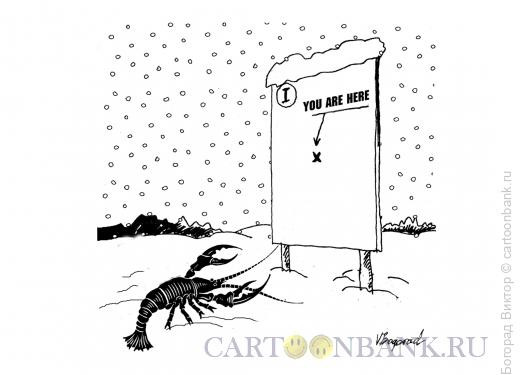 Карикатура: Где раки зимуют, Богорад Виктор