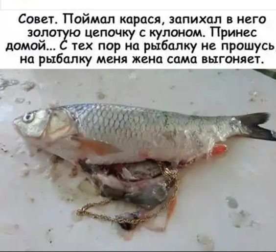 Мем: Секреты рыбалки