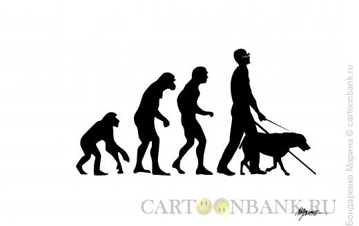 Карикатура: Эволюция и Год Собаки, Бондаренко Марина