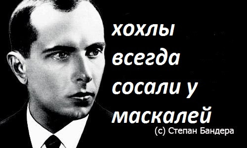 Мем, Максим Камерер